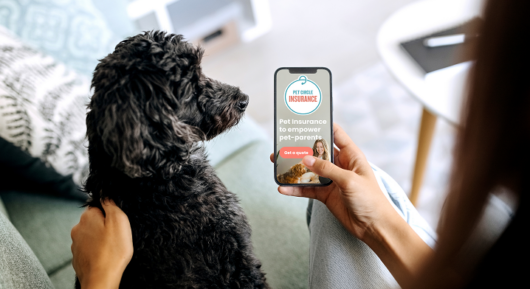 Pet Circle’s new insurance offering. Image supplied