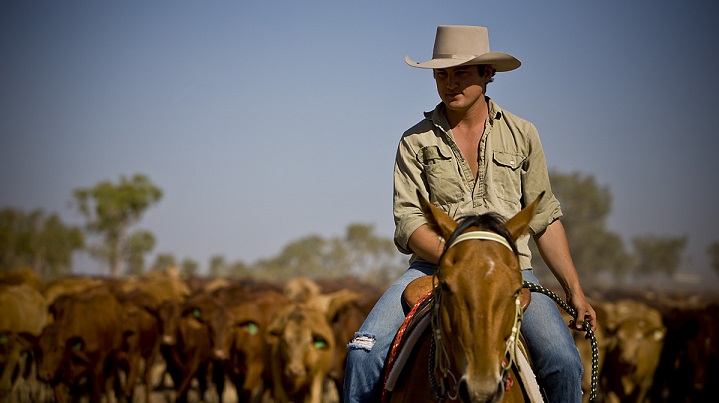 Hat (AKUBRA DROVER) orders