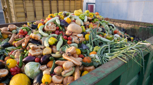 Australia's Food Waste Crisis