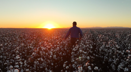 narribri shire council campaign