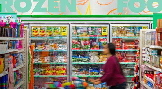 shopper at Dollar Tree store