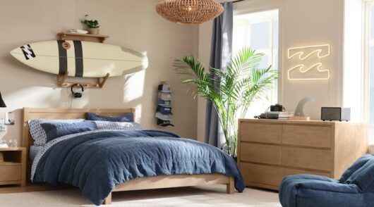 Pottery Barn Teen and Billabong