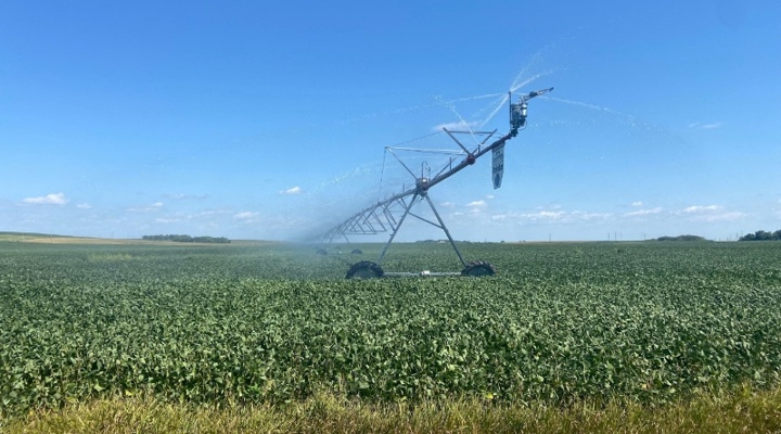Irrigated China soybean field.