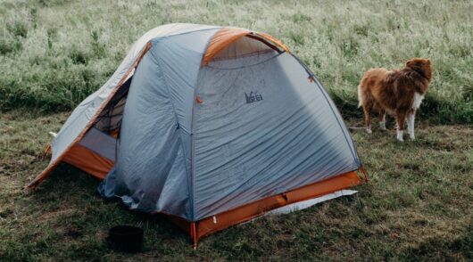 camping tent