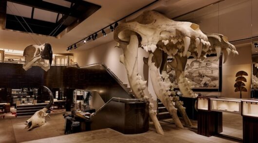JMM store in New York