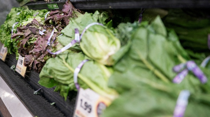 Fresh lettuce in a grocery store.