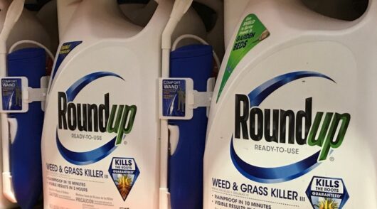 Roundup weedkiller containers.