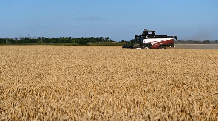 Russian combine harvesting grain.