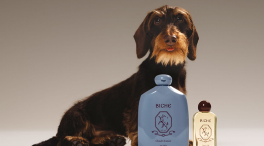 A campaign image with Biche products in front of a dachsund