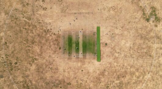 Cricket on a dry field.